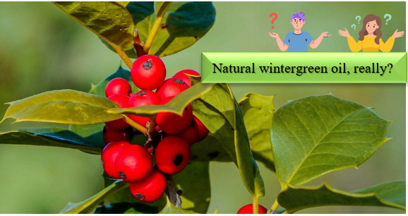 Wintergreen oil - செயற்கையான பொருட்களை எவ்வாறு அடையாளம் கண்டு, இயற்கையான தன்மையை சோதிக்கலாம்?